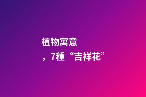 植物寓意，7種“吉祥花”-第1張-觀點(diǎn)-玄機(jī)派
